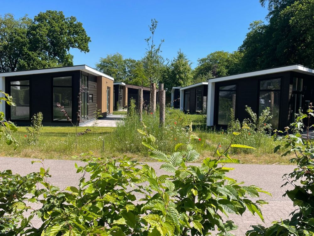 Yn ‘t Bosk – knus verblijf midden in de natuur, omringd door rust en groen.
